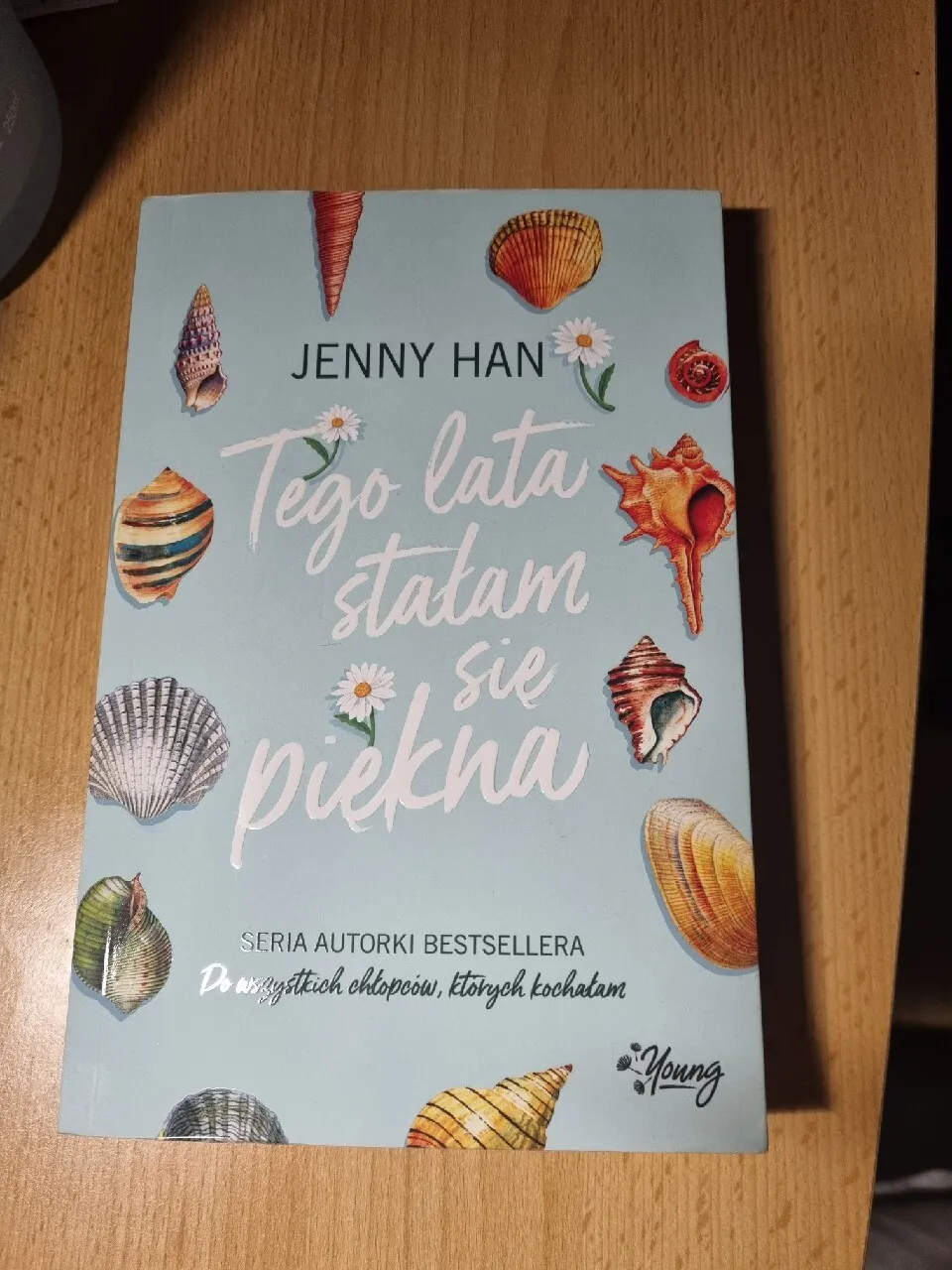 Zdjęcie O czym jest książka Tego lata stałam się piękna? Fabuła, wątki i tematyka
