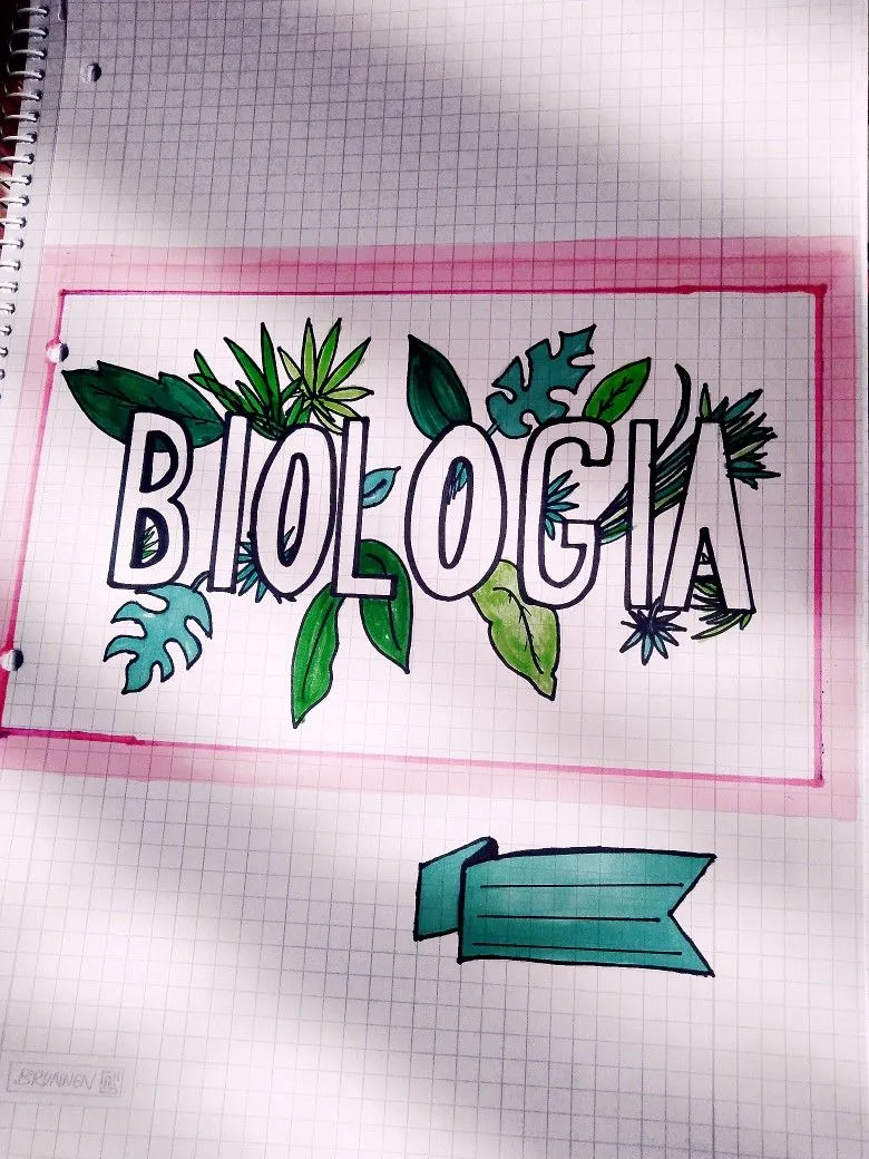Zdjęcie Jak ozdobić zeszyt do biologii, aby był wyjątkowy i inspirujący