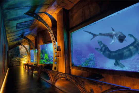 Zdjęcie Oceanarium 3D Warszawa – nieaktualne informacje o atrakcji
