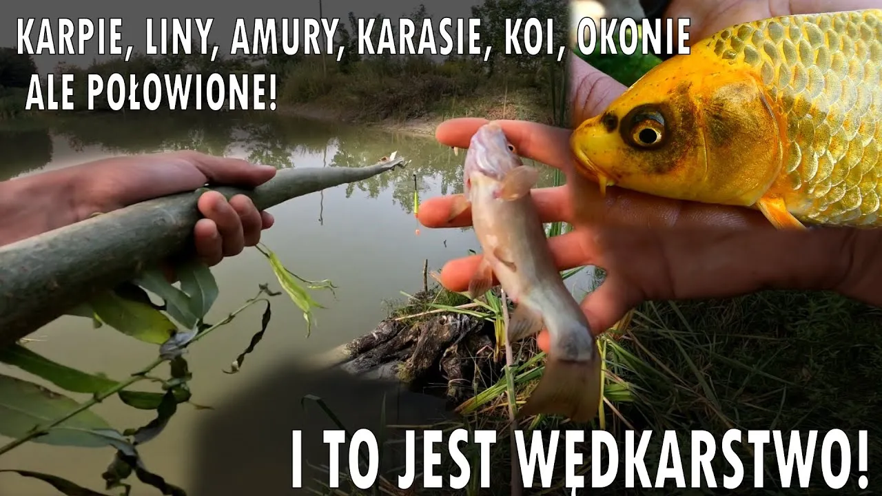 Zdjęcie Jak zrobić wędkę z patyka - proste sposoby na własnoręczne wędkarstwo