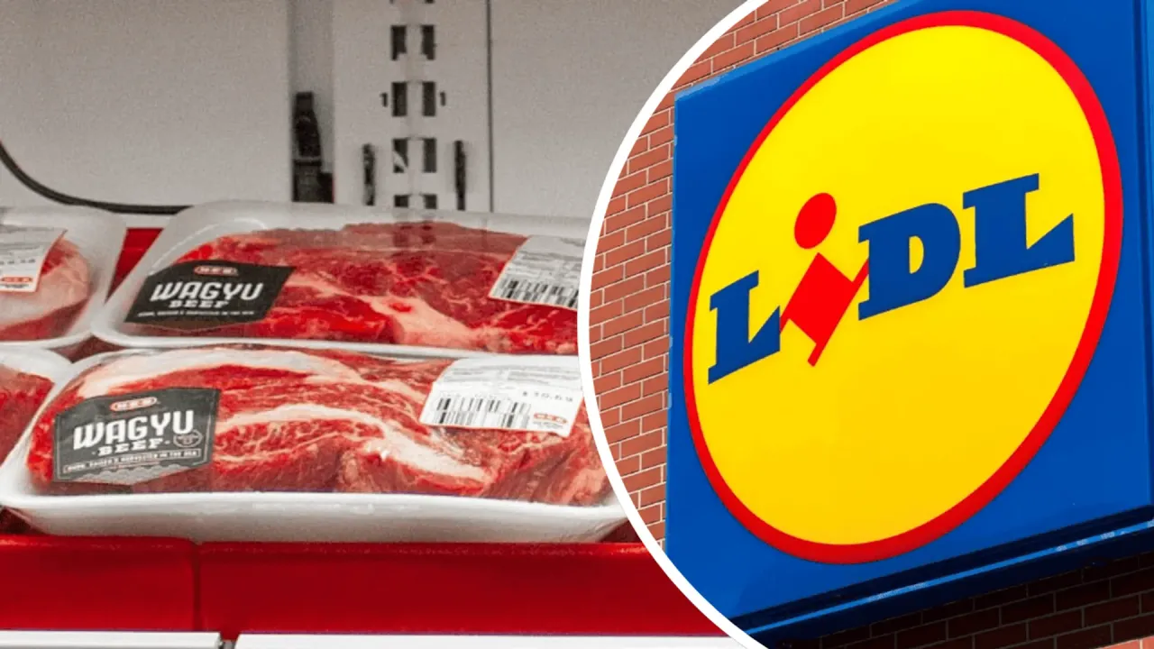 Zdjęcie Skąd pochodzi mięso z Lidla? Odkryj prawdę o lokalnych dostawcach