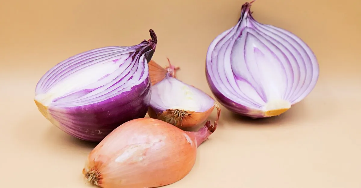 Zdjęcie Czy cebula jest zdrowa? Odkryj jej niezwykłe właściwości!