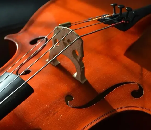 Zdjęcie Ile strun mają skrzypce? Wszystko, co musisz wiedzieć o tym instrumencie.