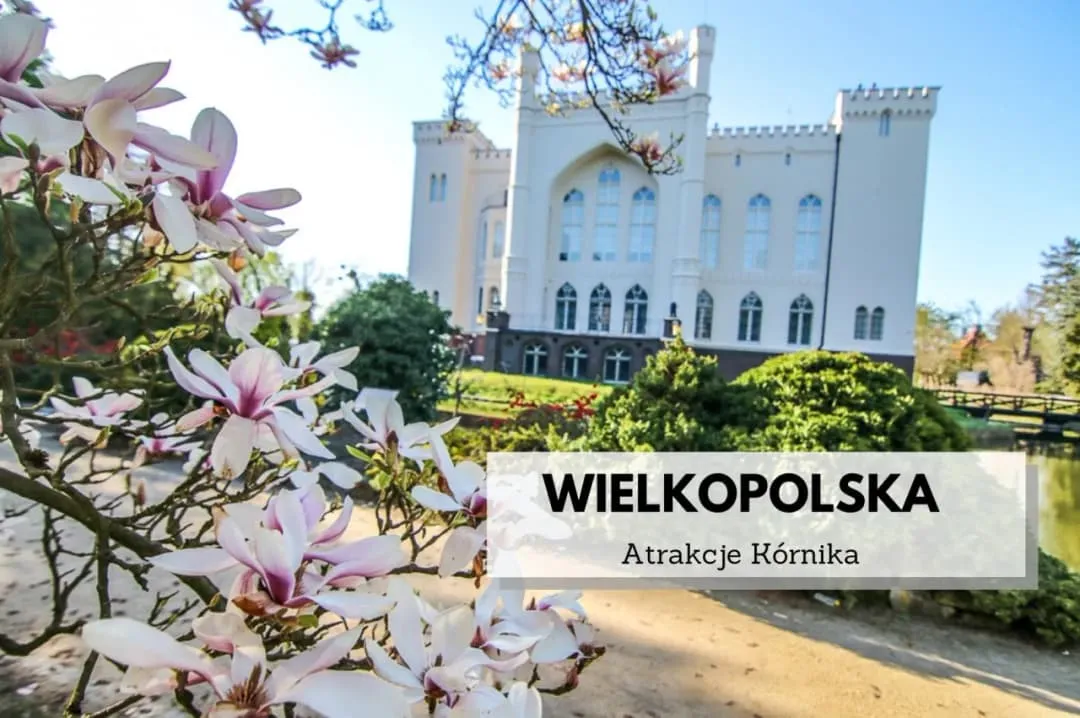 Zdjęcie Szczyrk gdzie zjeść - najlepsze restauracje, które musisz odwiedzić