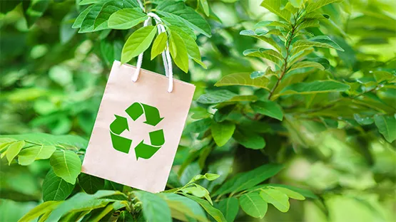 Zdjęcie Jakie produkty można uzyskać z recyklingu papieru?