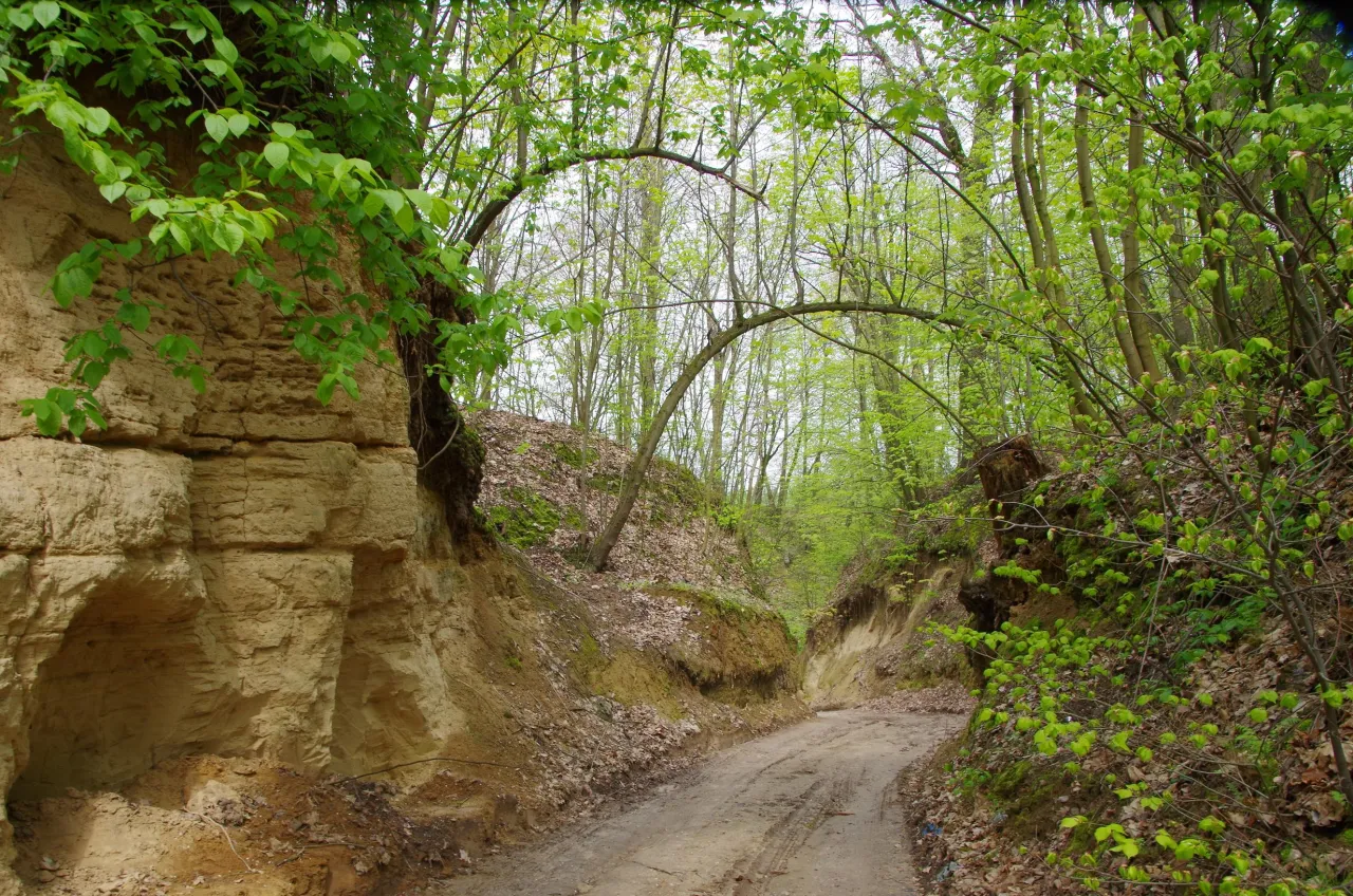 Wąwozy lessowe Nałęczów