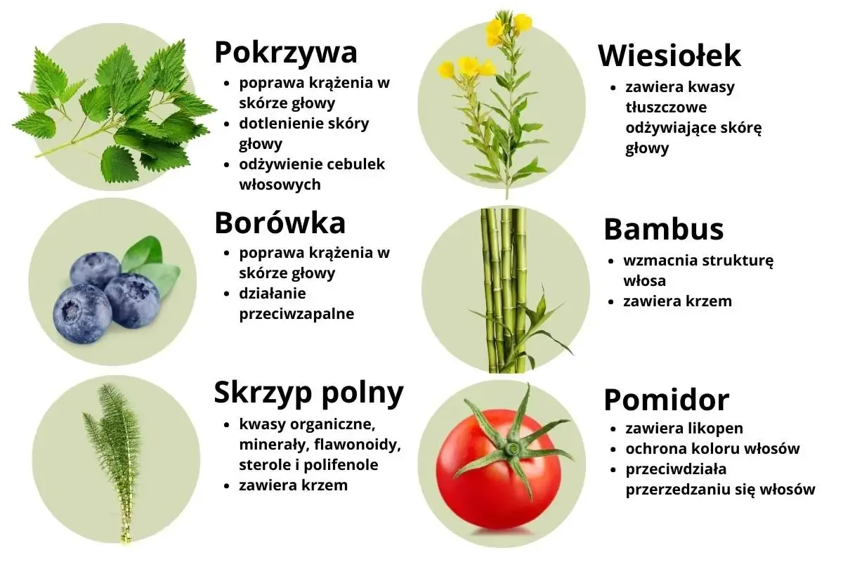 Por&oacute;wnanie suplement&oacute;w na włosy