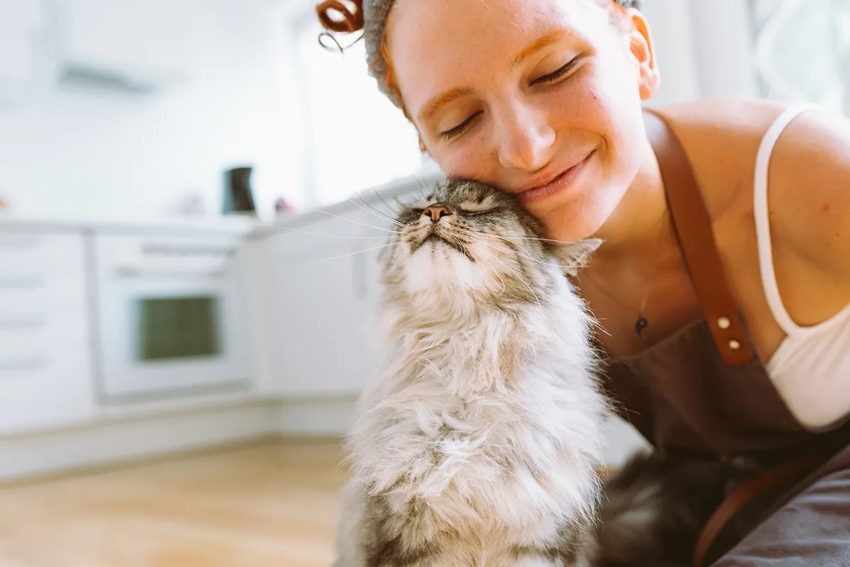 Szczęśliwy zdrowy kot i właściciel