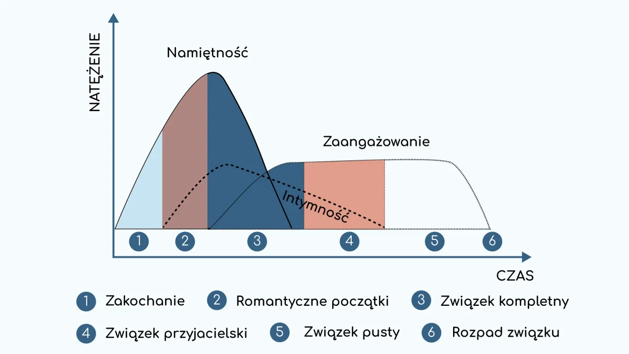 Wykres pokazuje, jak przywiązuje się mężczyzna: od zauroczenia, przez namiętność i intymność, do zaangażowania i rozpadu związku.