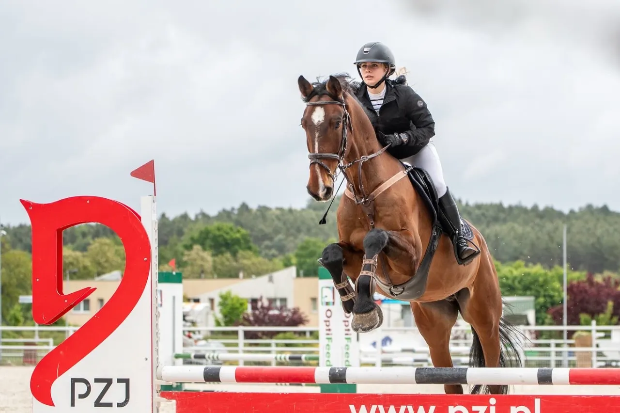 Trening konia i jeźdźca