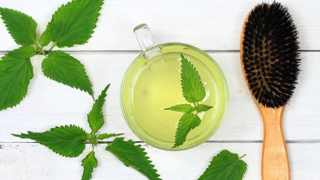 pokrzywa na włosy i skórę