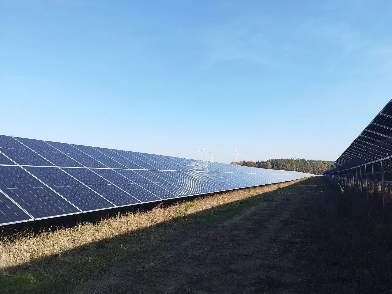 Duże panele fotowoltaiczne na tle błękitnego nieba. W oddali widać wiatraki. Czy umowę dzierżawy trzeba zgłosić do gminy?