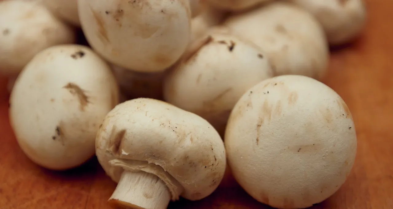 Grupka białych pieczarek na drewnianym blacie. Czy psy mogą jeść pieczarki? Zależy od gatunku i sposobu przygotowania.