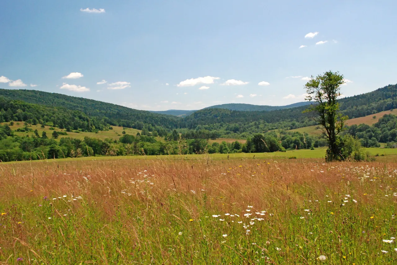 Beskid Niski krajobraz
