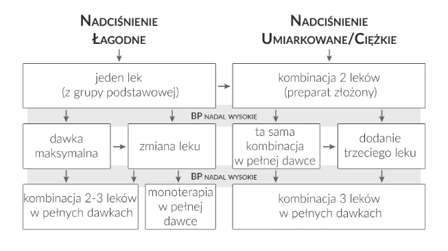 R&oacute;żne rodzaje tabletek na nadciśnienie, schemat działania lek&oacute;w