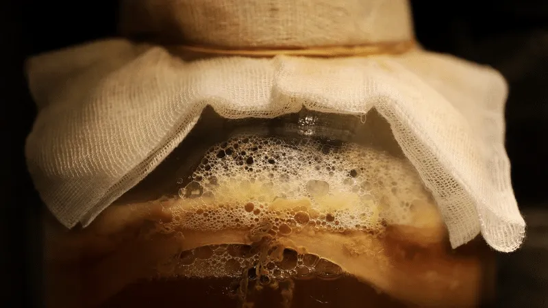 higiena w produkcji kombuchy