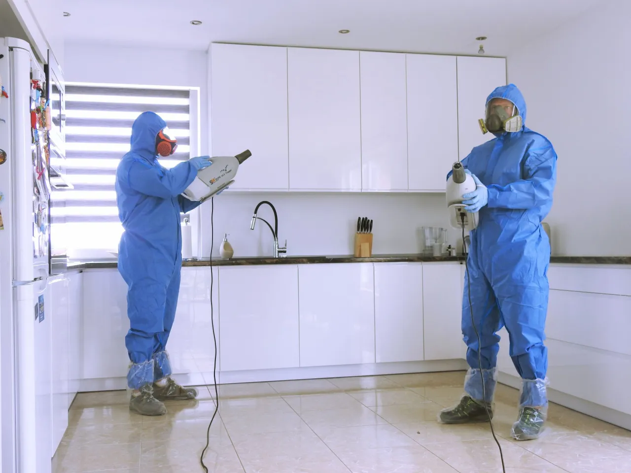 Dezynsekcja domu profesjonalna firma