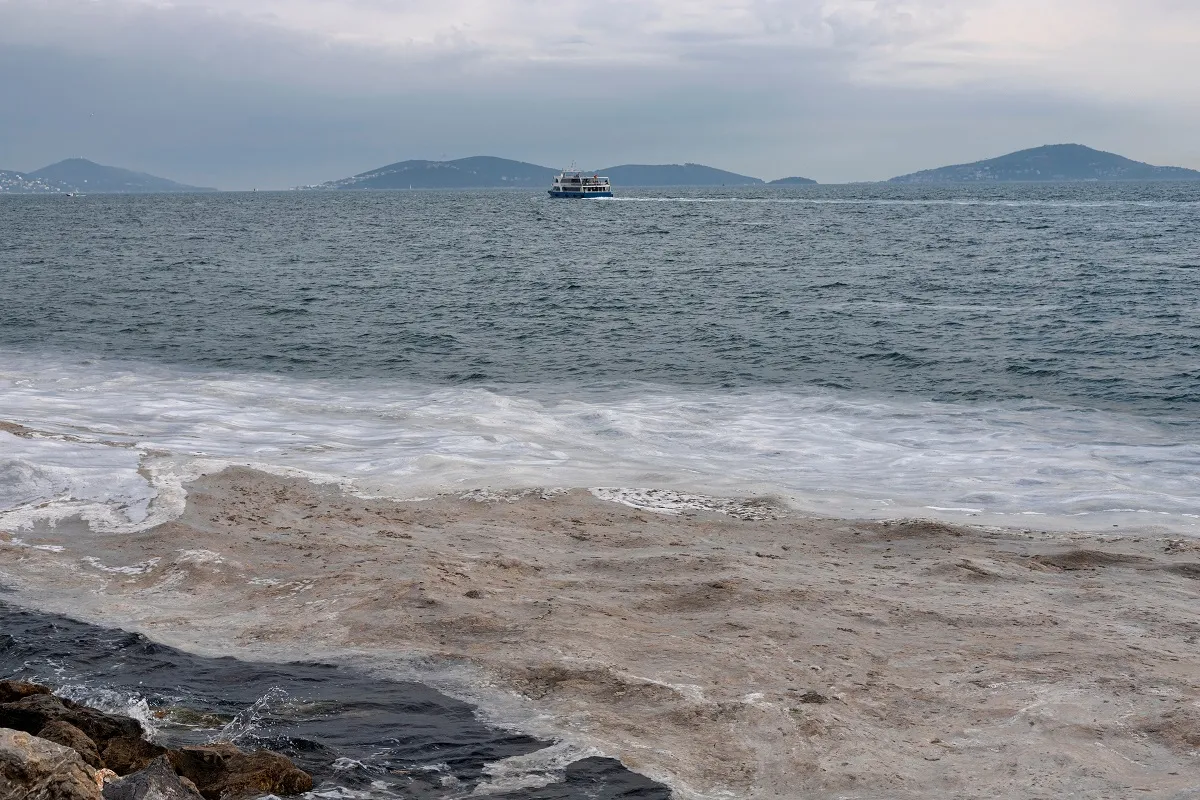 Śluz morski Morze Marmara