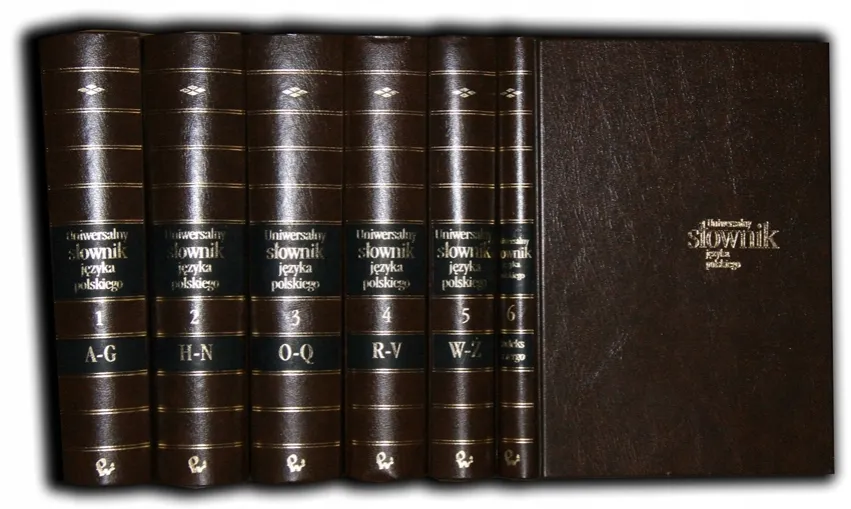 półka z książkami słowniki PWN