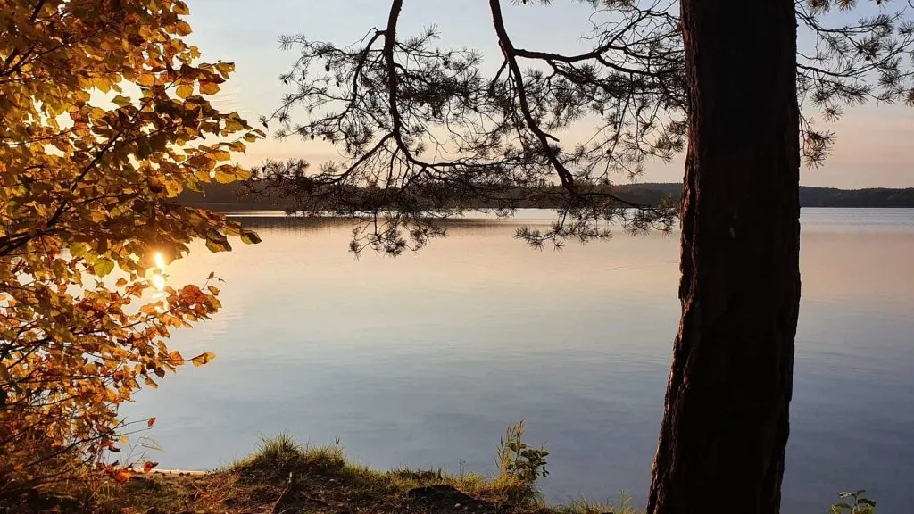 Zdjęcie Jezioro Trzechowskie: Idealne miejsce na relaks i przygodę w naturze