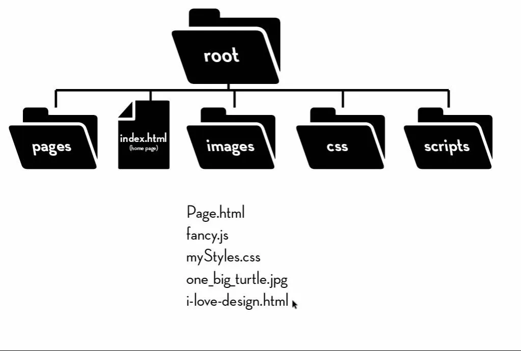 Website folder structure example