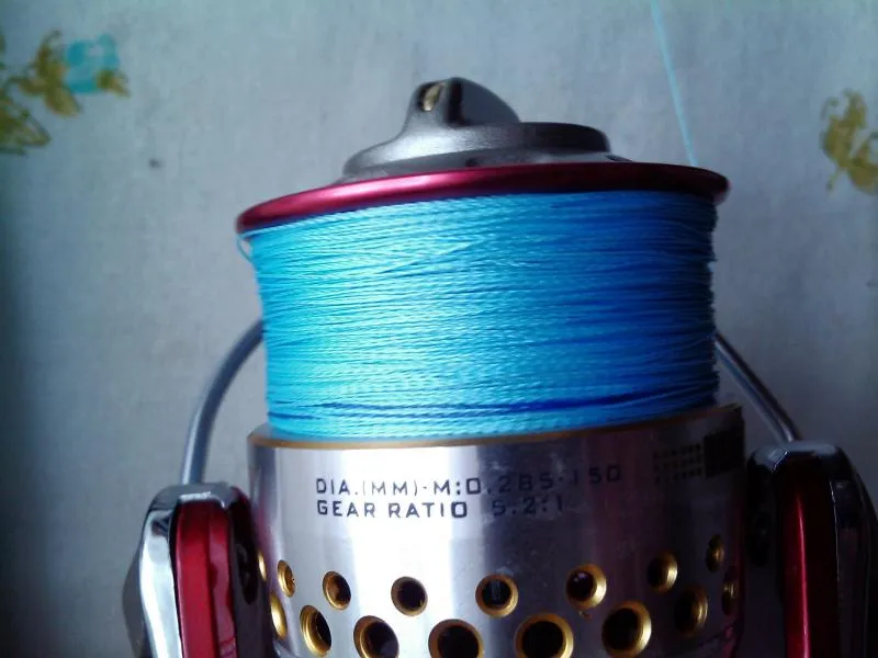 splątana plecionka broda