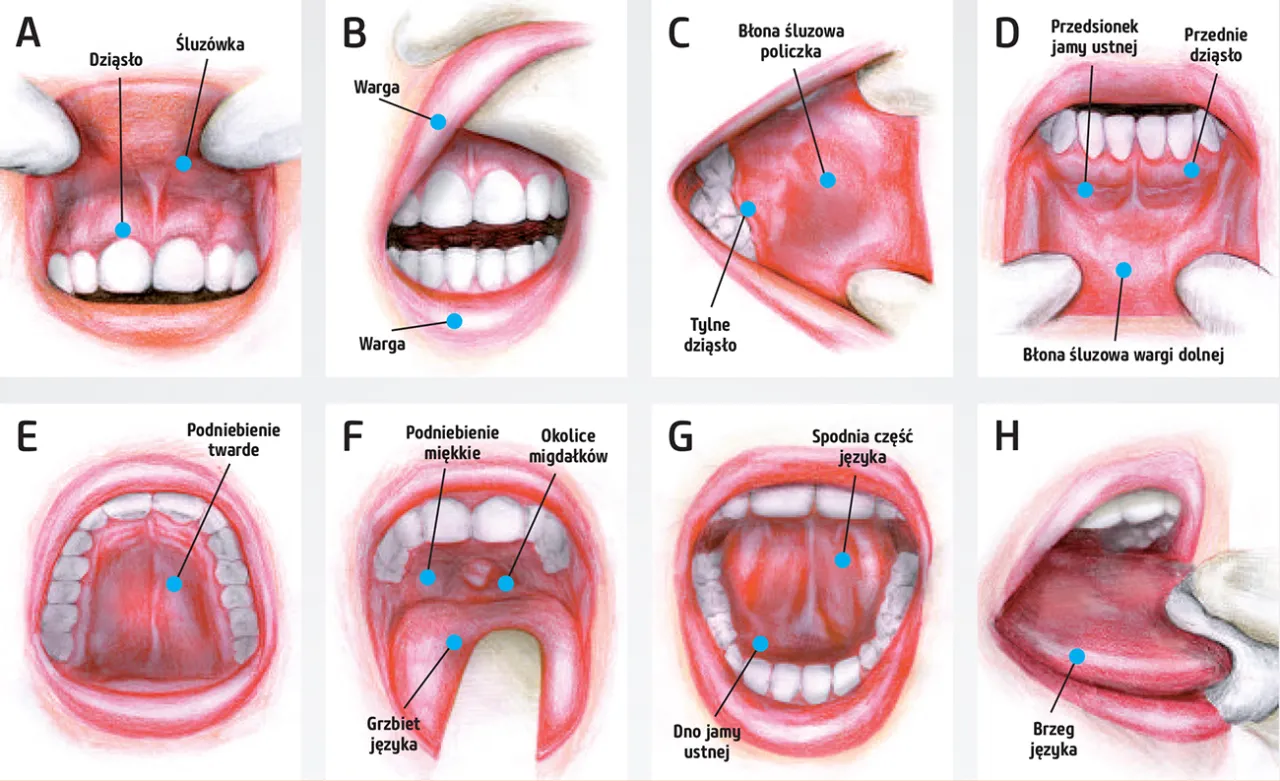 samobadanie jamy ustnej grafika