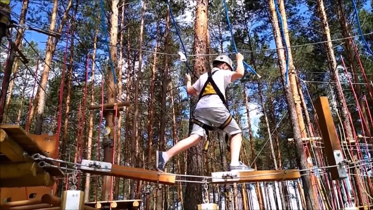 Zoom Natury Jan&oacute;w Lubelski park linowy