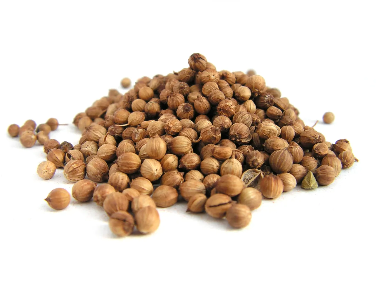 Kula ziarna kolendry, idealna do przyprawiania potraw, nadaje im cytrusowy, lekko pieprzny aromat.