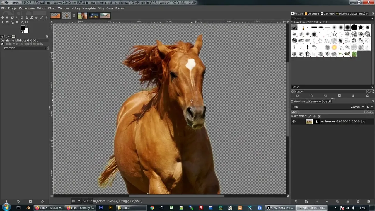 kolaż w programie graficznym gimp