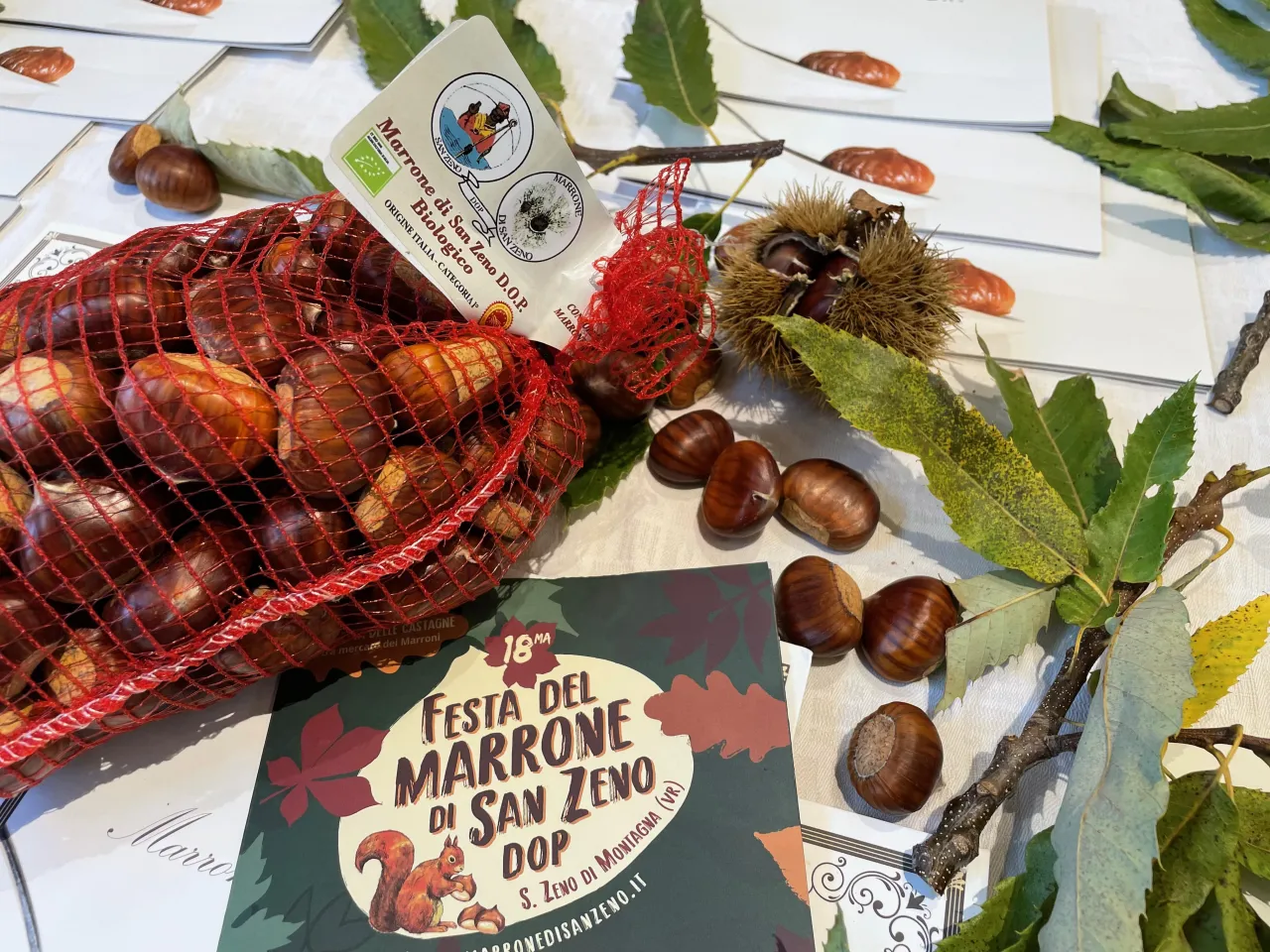 Castagna DOP San Zeno di Montagna