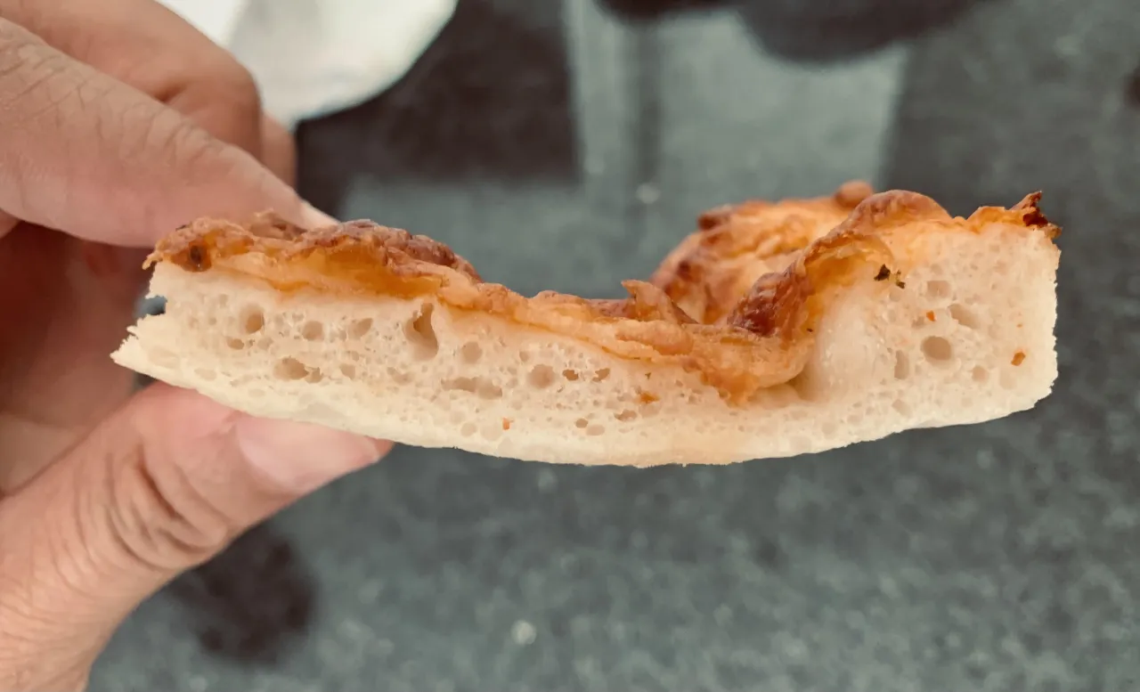Problèmes pâte à pizza ou pâte à pizza ratée