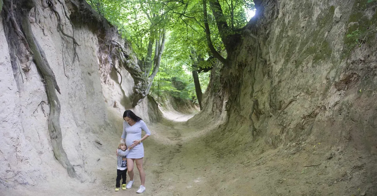 Korzeniowy Dół Kazimierz Dolny