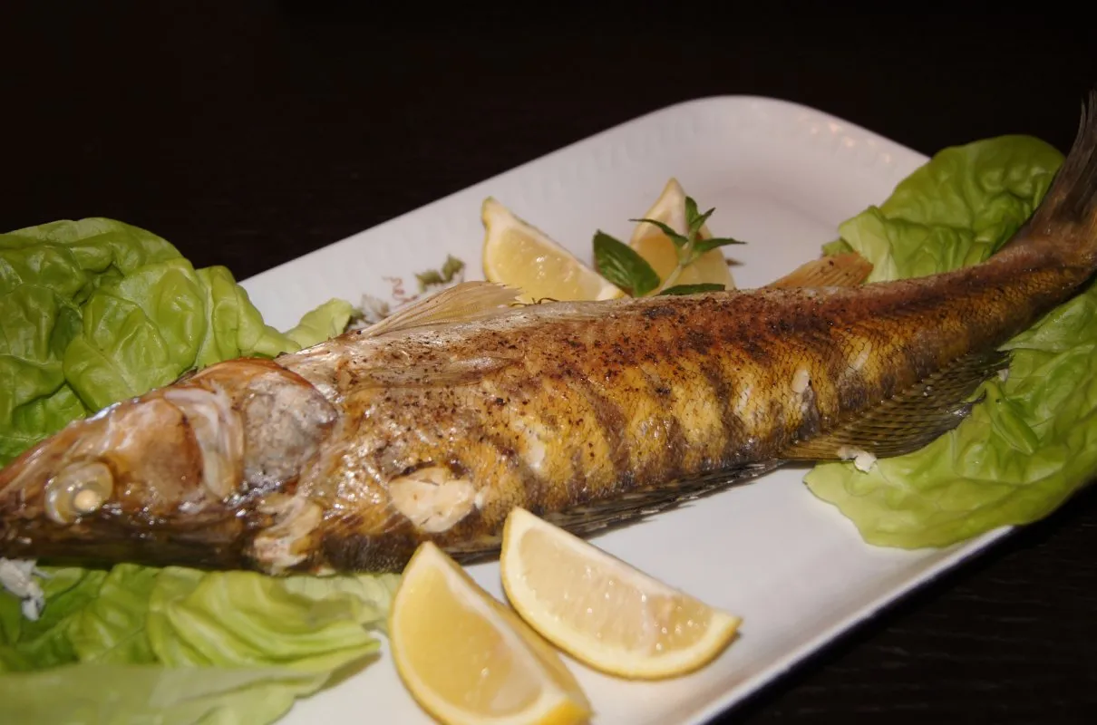 dania z sandacza pieczony gotowany