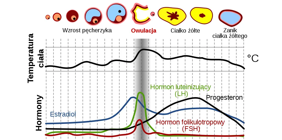 przyczyny braku śluzu płodnego stres hormony wiek