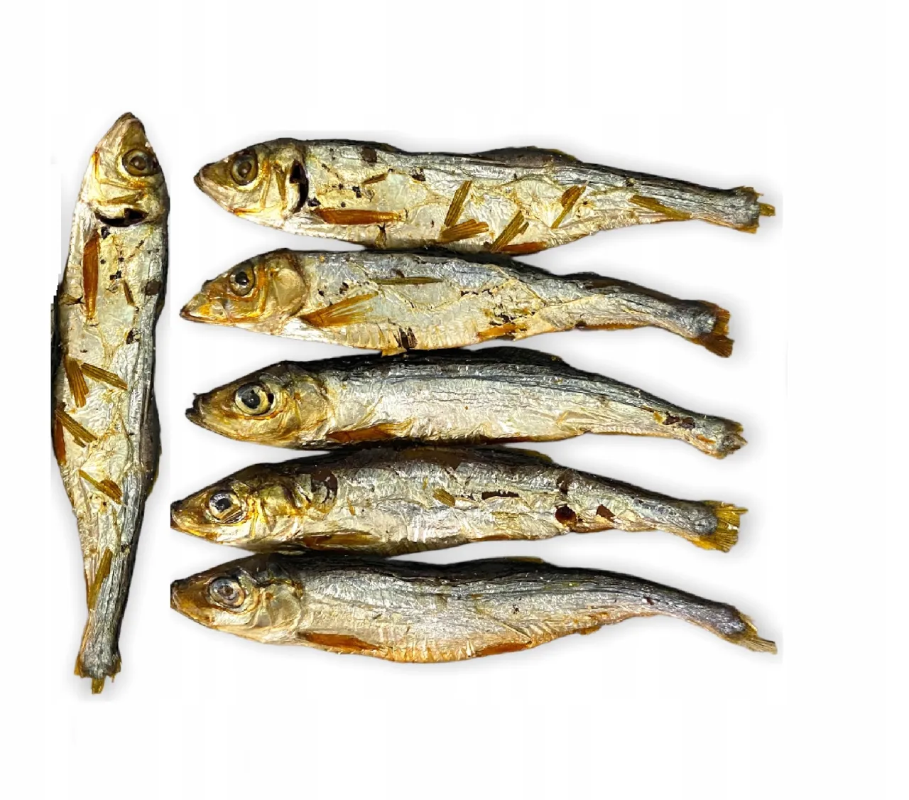 Szprotki świeże i suszone dla psa