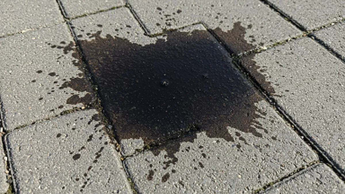 Rodzaje plam na kostce brukowej identyfikacja