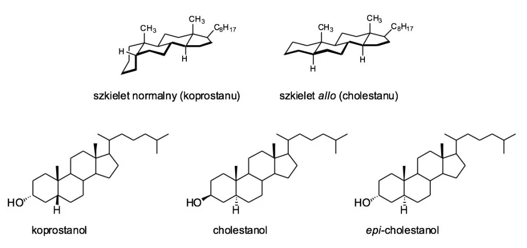 mechanizm działania steroli roślinnych cholesterol
