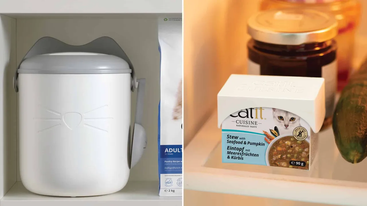 przechowywanie mokrej karmy w pojemniku w lodówce