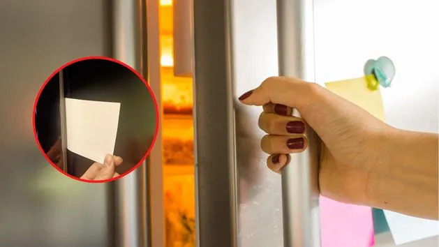 test uszczelki zamrażarki kartką papieru