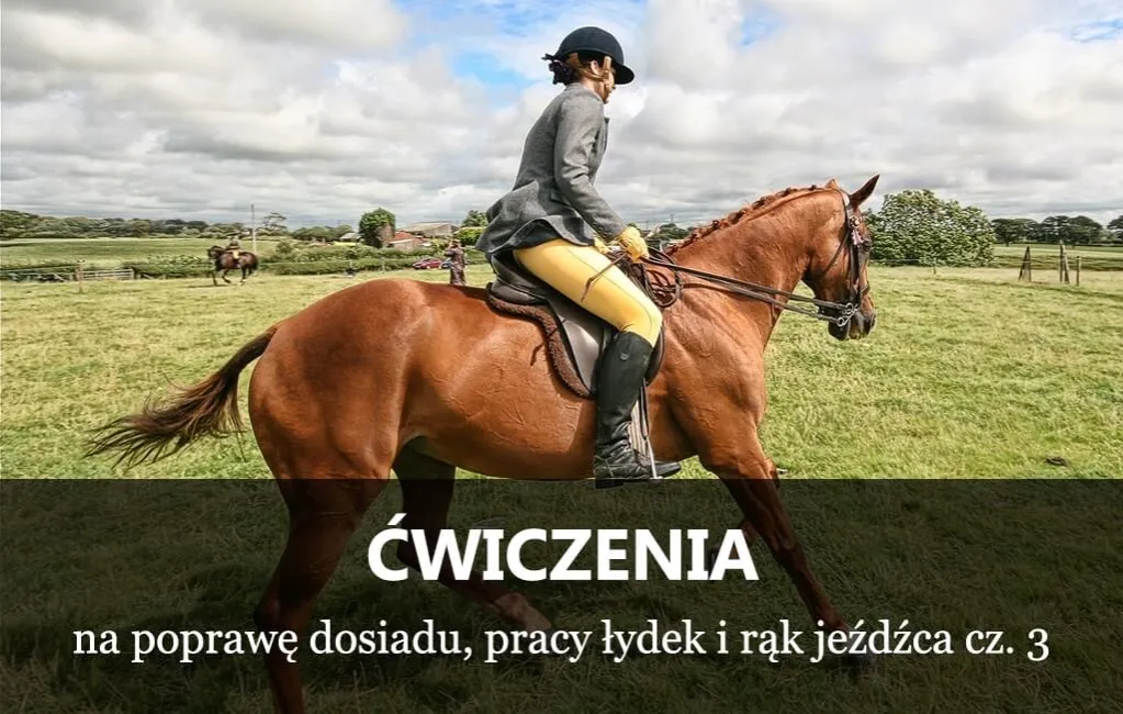 Zdjęcie Jak skręcać koniem łydkami: unikaj powszechnych błędów w jeździe