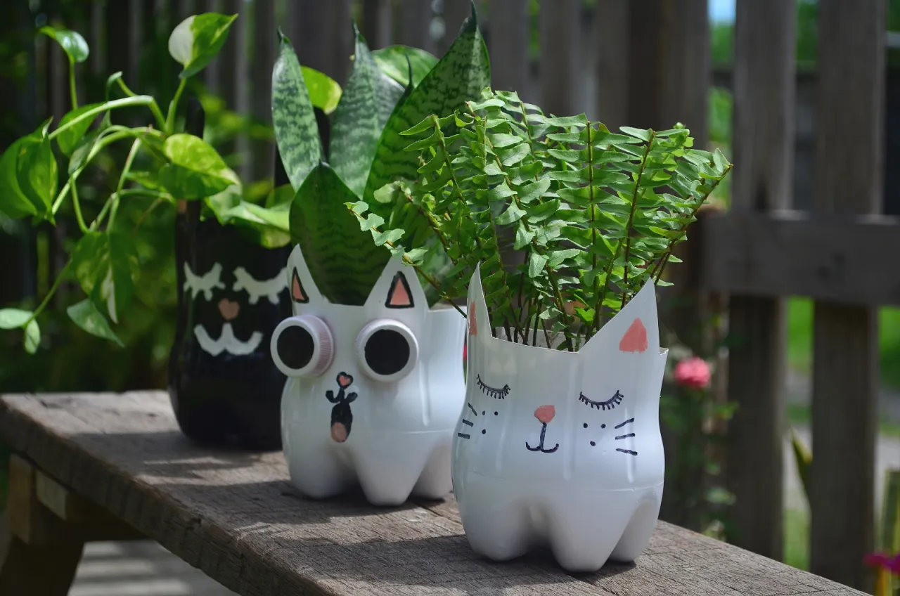 ozdobiony kwietnik z butelek