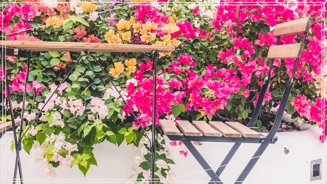 Kompozycje kwiatowe na taras wczesna wiosna