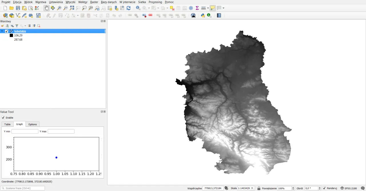 Symulacja w ILWIS: jak się zapisuje raster na system binarny. Widok mapy rastrowej z zaznaczonym obszarem.