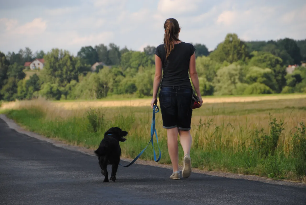 szczeniak na spacerze z właścicielem