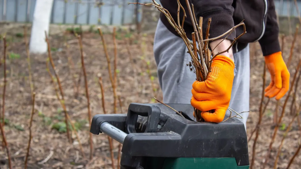 Osoba w pomarańczowych rękawiczkach wkłada gałęzie do rozdrabniacza do gałęzi elektrycznego.