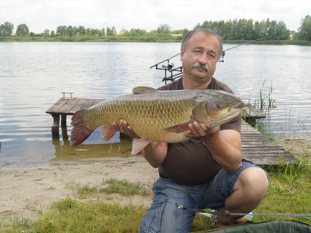 Jezioro Ostrowite Kujawsko-Pomorskie ryby