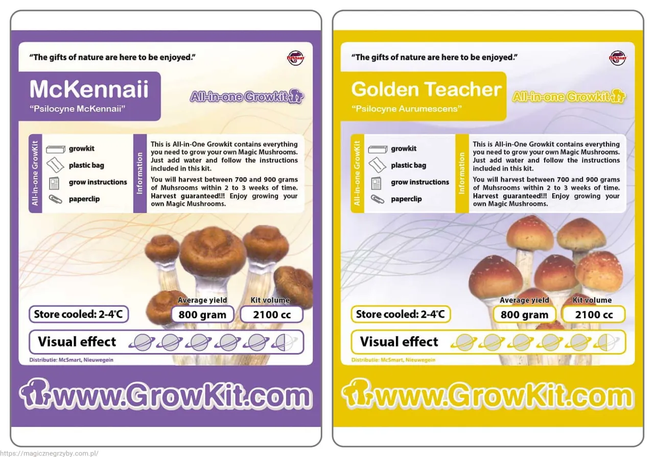 Zarodniki grzyb&oacute;w vs growkit por&oacute;wnanie