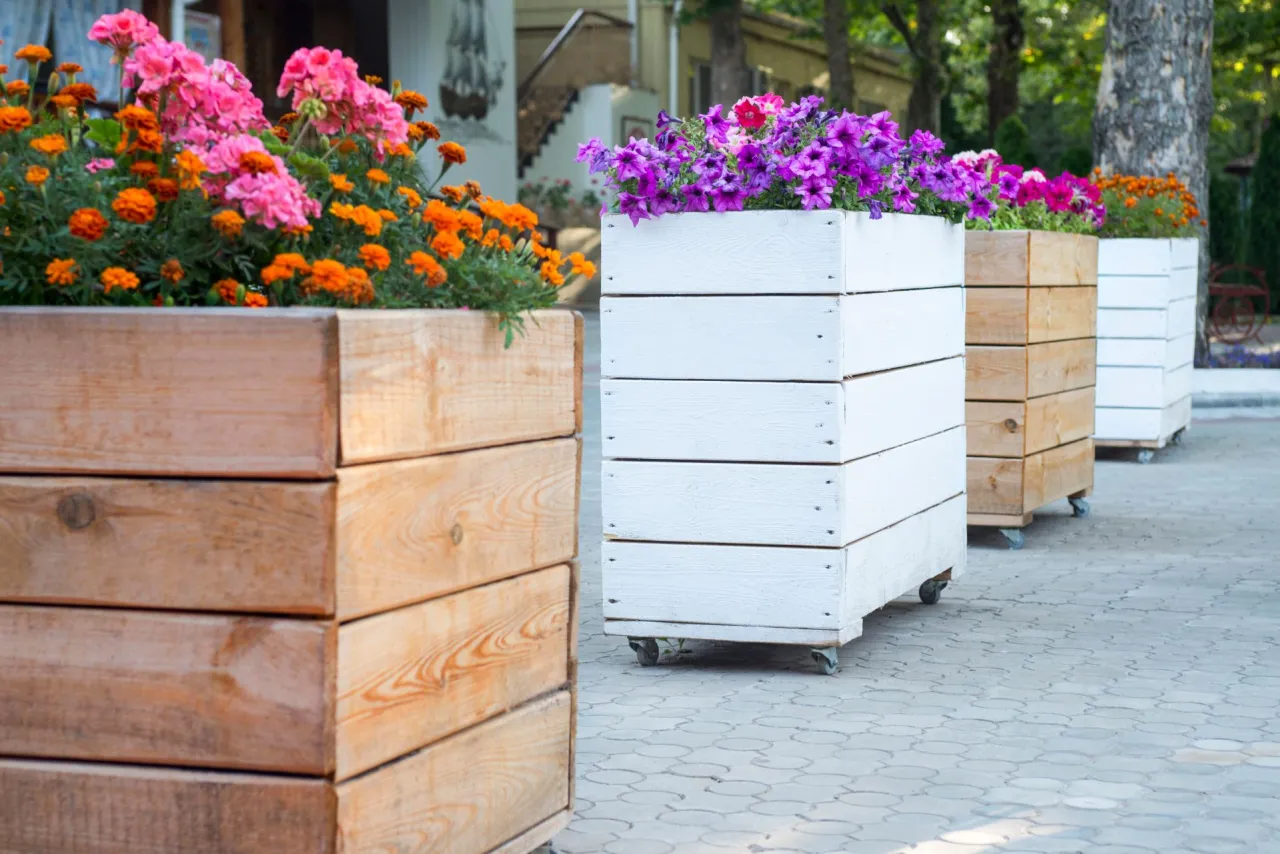 Drewniane skrzynie, idealne do tego, jak zrobić donice ogrodowe, wypełnione kolorowymi kwiatami.