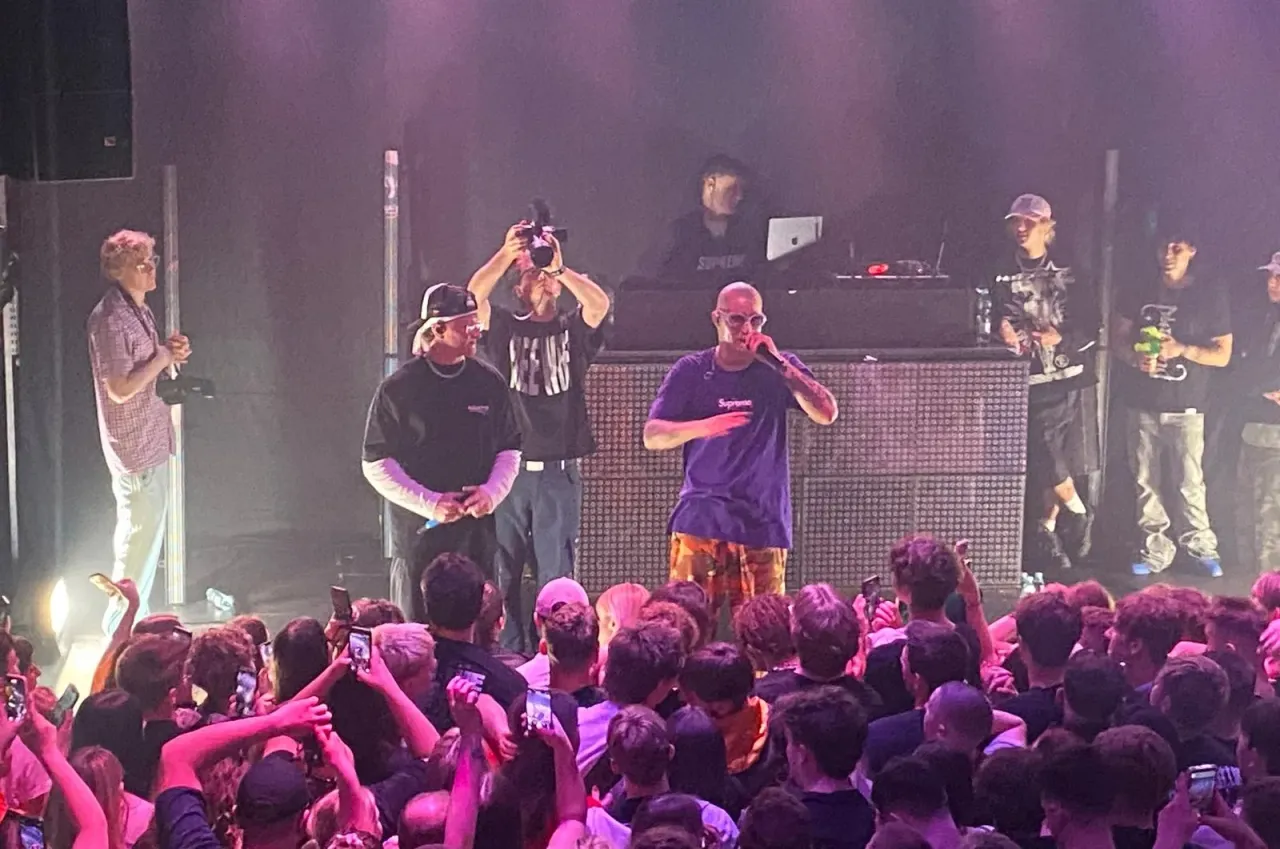 Żabson koncert publiczność energia